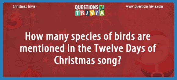 how-many-birds-are-mentioned-in-the-twelve-days-of-christmas