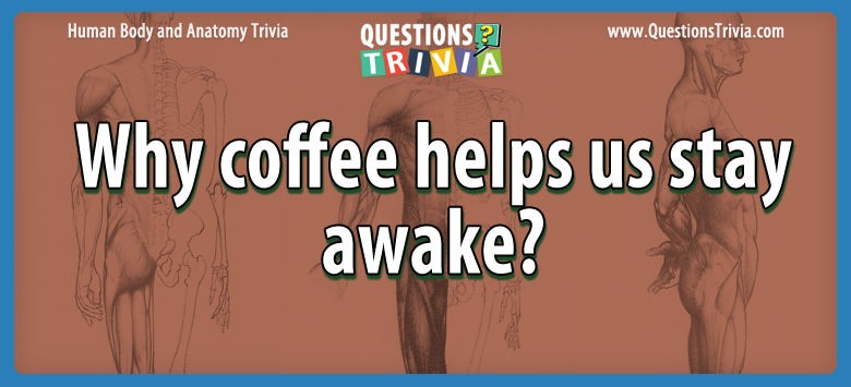 does coffee help keep you awake
